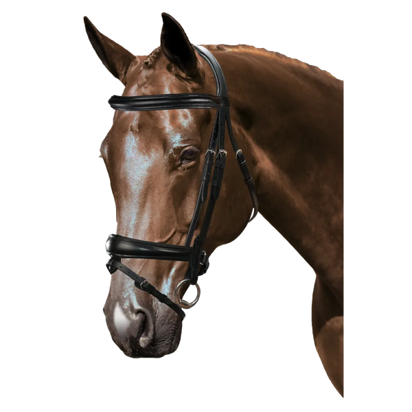 Mix & Match Custom Bridle - Black Snaffle - Customer's Product with price 209.80 ID Prp-hn3G3s8b23z4uFd8bca2