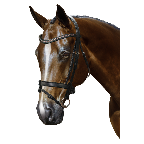 Mix & Match Custom Bridle - Black Snaffle - Customer's Product with price 319.75 ID L54MrMEeSd8iOWrUWJh3Q4cH