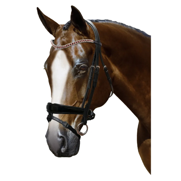 Mix & Match Custom Bridle - Black Snaffle - Customer's Product with price 249.80 ID CHH96kGllotIYEYJeexrxbGN