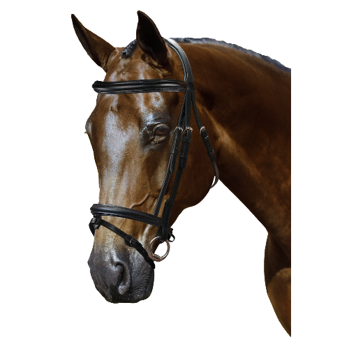 Mix & Match Custom Bridle - Black Snaffle - Customer's Product with price 279.75 ID 6R9dIIT9pLmYQTQ8kGje8eOU