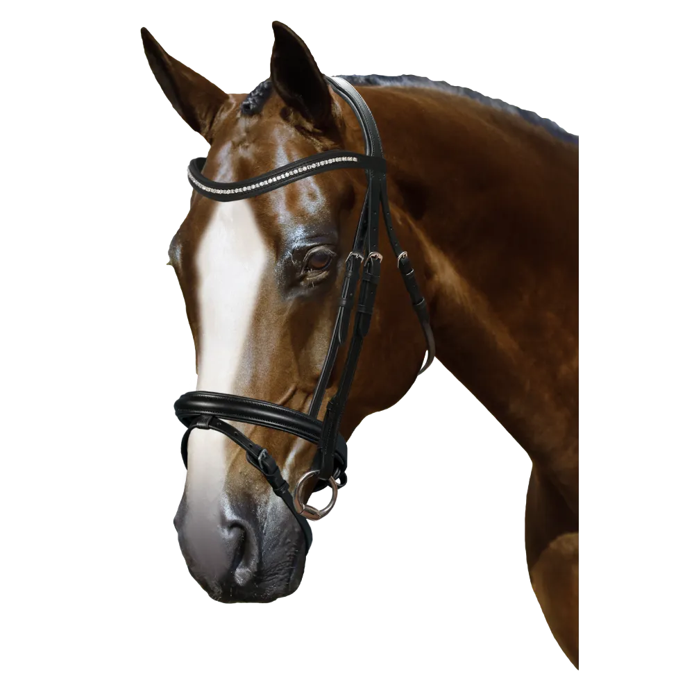 Mix & Match Custom Bridle - Black Snaffle - Customer's Product with price 239.80 ID GEAdD7tnyEvMKrdyc3EEhUAh