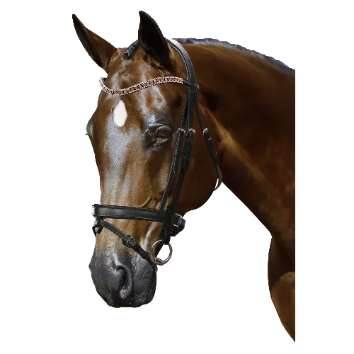 Mix & Match Custom Bridle - Black Snaffle - Customer's Product with price 319.75 ID wv3VEm9Uw_zg0dny8SX1Bk5q