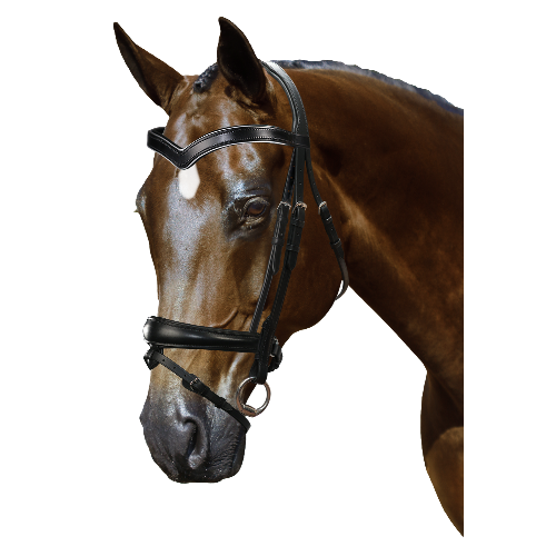 Mix & Match Custom Bridle - Black Snaffle - Customer's Product with price 279.75 ID Hg0zJTEM1ftNxe-bA22Hn8Hr