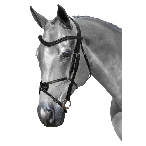 Mix & Match Custom Bridle - Black Snaffle - Customer's Product with price 209.80 ID pmqiw6FqvWP-5V2JV40iXxQT