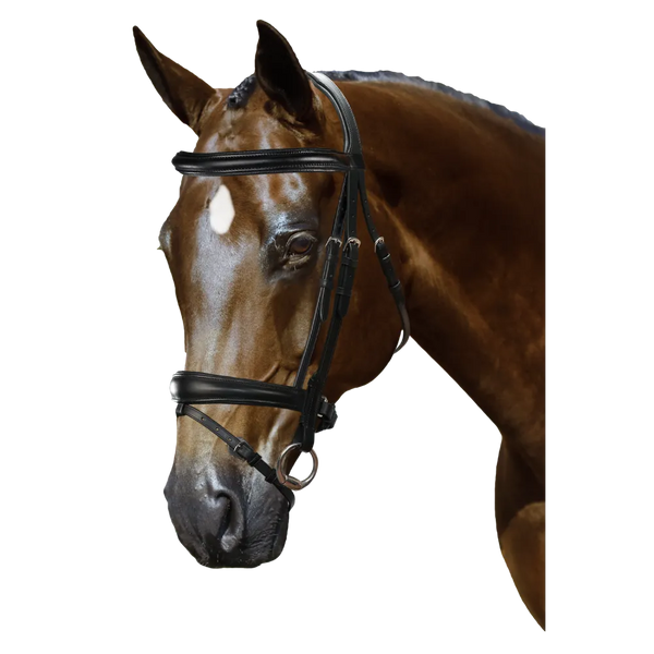 Mix & Match Custom Bridle - Black Snaffle - Customer's Product with price 209.80 ID RAEBIr2tk5rqdyl7fXx5NM4H