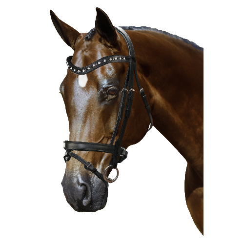 Mix & Match Custom Bridle - Black Snaffle - Customer's Product with price 319.75 ID lf6UASSuFEeDe35gOmmKIzuW