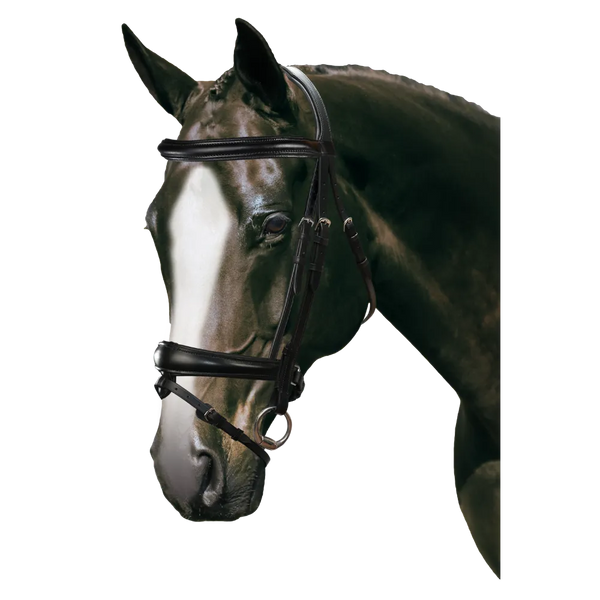 Mix & Match Custom Bridle - Black Snaffle - Customer's Product with price 279.75 ID Q8NLJ0Y9ieQfVjzfKpAUJcoM