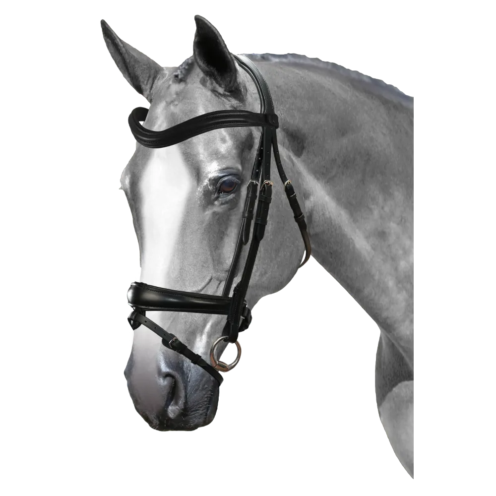Mix & Match Custom Bridle - Black Snaffle - Customer's Product with price 279.75 ID Fp4dhkzjhTt4NA7XuRRbAYQO
