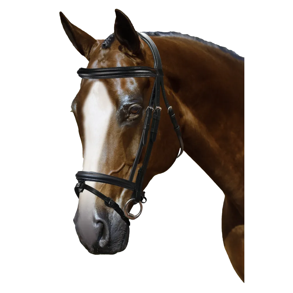 Mix & Match Custom Bridle - Black Snaffle - Customer's Product with price 279.75 ID C9WHs8rLhd72_vtsxYrzs-bk