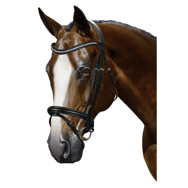 Mix & Match Custom Bridle - Black Snaffle - Customer's Product with price 239.80 ID ZzJV6eQ_hF6ngXQKHors1l5-
