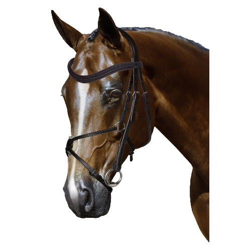 Mix & Match Custom Bridle - Havana Snaffle Bridle - Customer's Product with price 279.75 ID 7WfW5ORt3SxIKdbjswRgdv0g