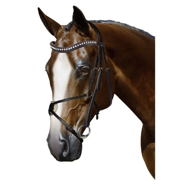 Mix & Match Custom Bridle - Havana Snaffle Bridle - Customer's Product with price 319.75 ID D5iJgPfGOoyoWTjgBochHUam
