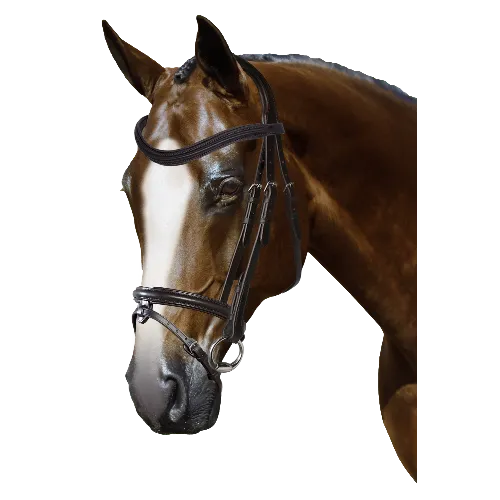 Mix & Match Custom Bridle - Havana Snaffle Bridle - Customer's Product with price 279.75 ID L2acNeEW92VsqKIany8DvywW