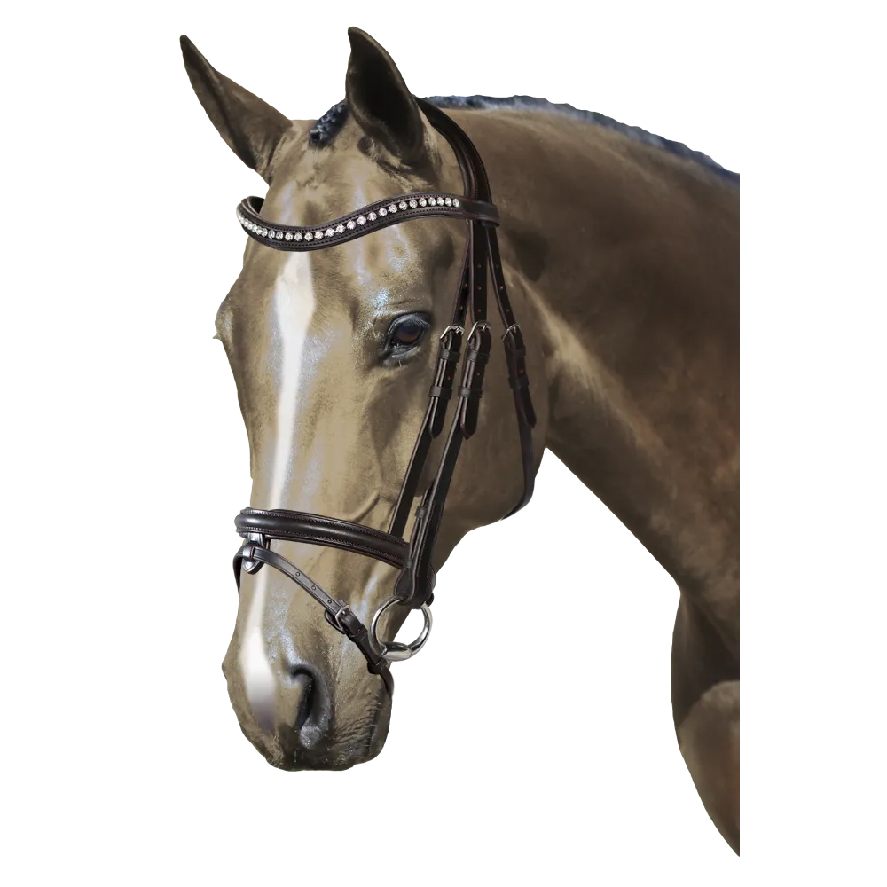 Mix & Match Custom Bridle - Havana Snaffle Bridle - Customer's Product with price 249.80 ID WqGezL41t8sZiGF8MWs54mDD