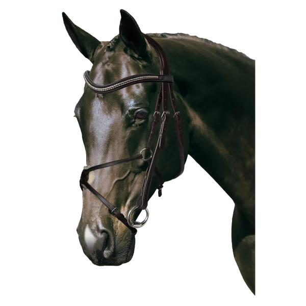 Mix & Match Custom Bridle - Havana Snaffle Bridle - Customer's Product with price 309.75 ID 9aXBklZFVL8Z0AWUeT1n5mGS