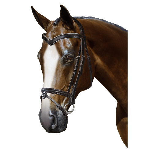 Mix & Match Custom Bridle - Havana Snaffle Bridle - Customer's Product with price 279.75 ID D8kh69RaDcf30Sb_qWeEw71l