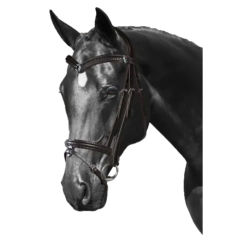 Mix & Match Custom Bridle - Havana Snaffle Bridle - Customer's Product with price 319.75 ID IT0vo6d4FUpBR4_sQ_YePWbA