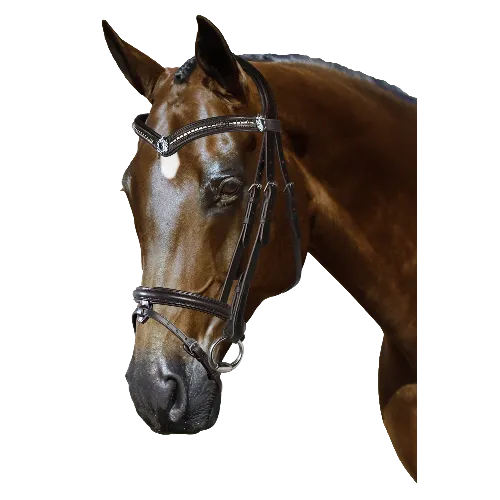 Mix & Match Custom Bridle - Havana Snaffle Bridle - Customer's Product with price 309.75 ID d73FLC-f9n85eZDj3U2PB4IF