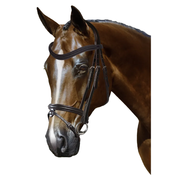 Mix & Match Custom Bridle - Havana Snaffle Bridle - Customer's Product with price 209.80 ID dAQImO4dQg1GlQdQ7mLCgJBk