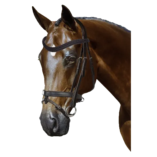 Mix & Match Custom Bridle - Havana Snaffle Bridle - Customer's Product with price 279.75 ID VhNXrvrSBHBS0CQQj4D_7RNv