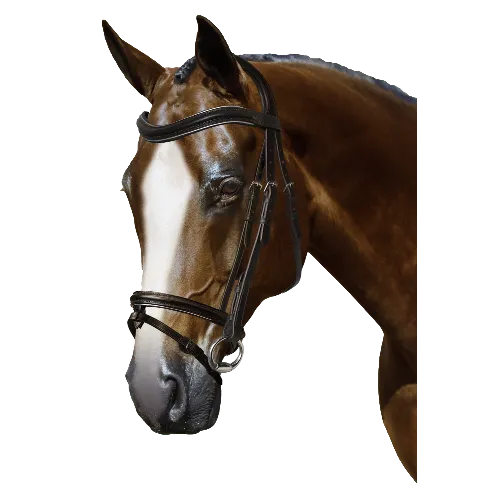 Mix & Match Custom Bridle - Havana Snaffle Bridle - Customer's Product with price 279.75 ID SV2_YitVf4IN5Cypn4XBAxmi