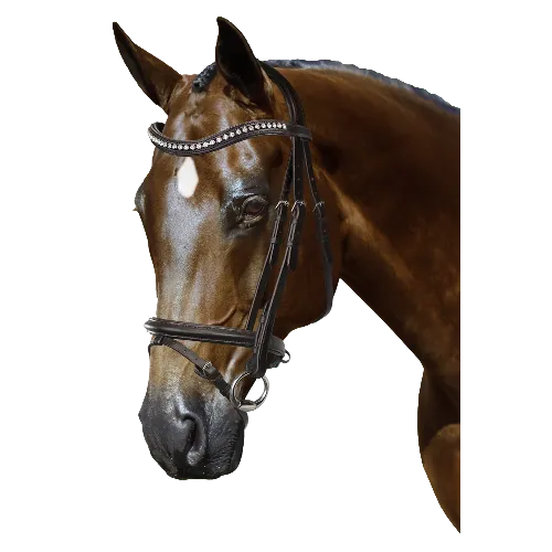 Mix & Match Custom Bridle - Havana Snaffle Bridle - Customer's Product with price 319.75 ID 23d7-TAJ5tmCuyFaz8nc_MUi