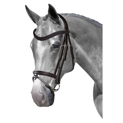 Mix & Match Custom Bridle - Havana Snaffle Bridle - Customer's Product with price 279.75 ID XeVZt4AxqaPMeeSnlcgLqzKu