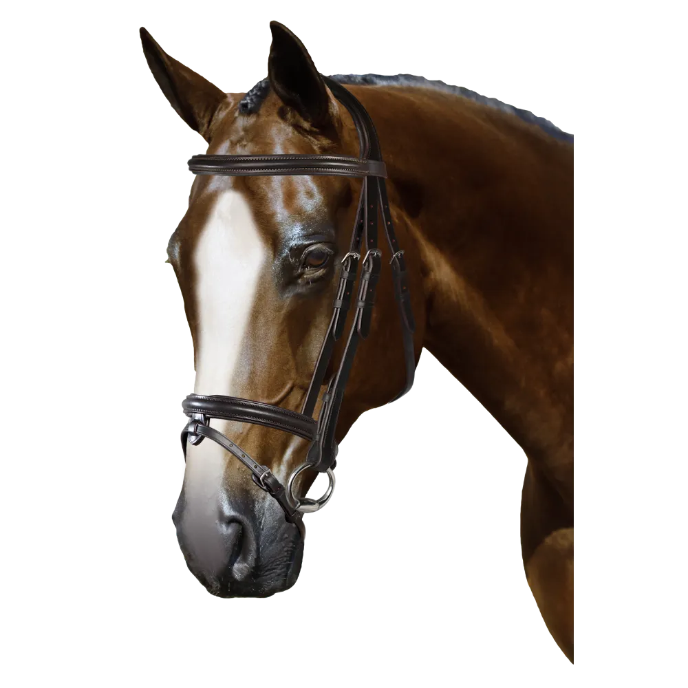 Mix & Match Custom Bridle - Havana Snaffle Bridle - Customer's Product with price 209.80 ID uqn0XubxbwfQo9uuxnxFjsIo
