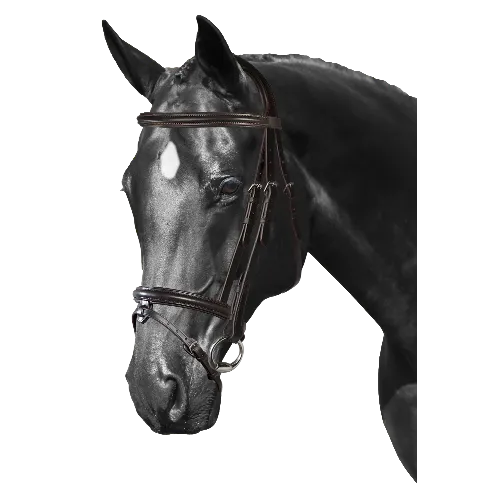 Mix & Match Custom Bridle - Havana Snaffle Bridle - Customer's Product with price 279.75 ID ZkuS5FZT_8NYOrnS79w1UPvI