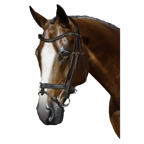 Mix & Match Custom Bridle - Havana Snaffle Bridle - Customer's Product with price 309.75 ID osFY9l0jscGsr2h6hAcv7Nae