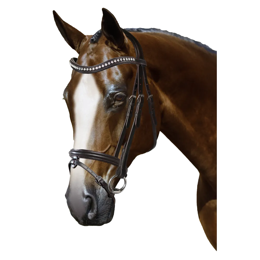 Mix & Match Custom Bridle - Havana Snaffle Bridle - Customer's Product with price 319.75 ID JLrava3k6ZnWcjvOwIQpVBAD
