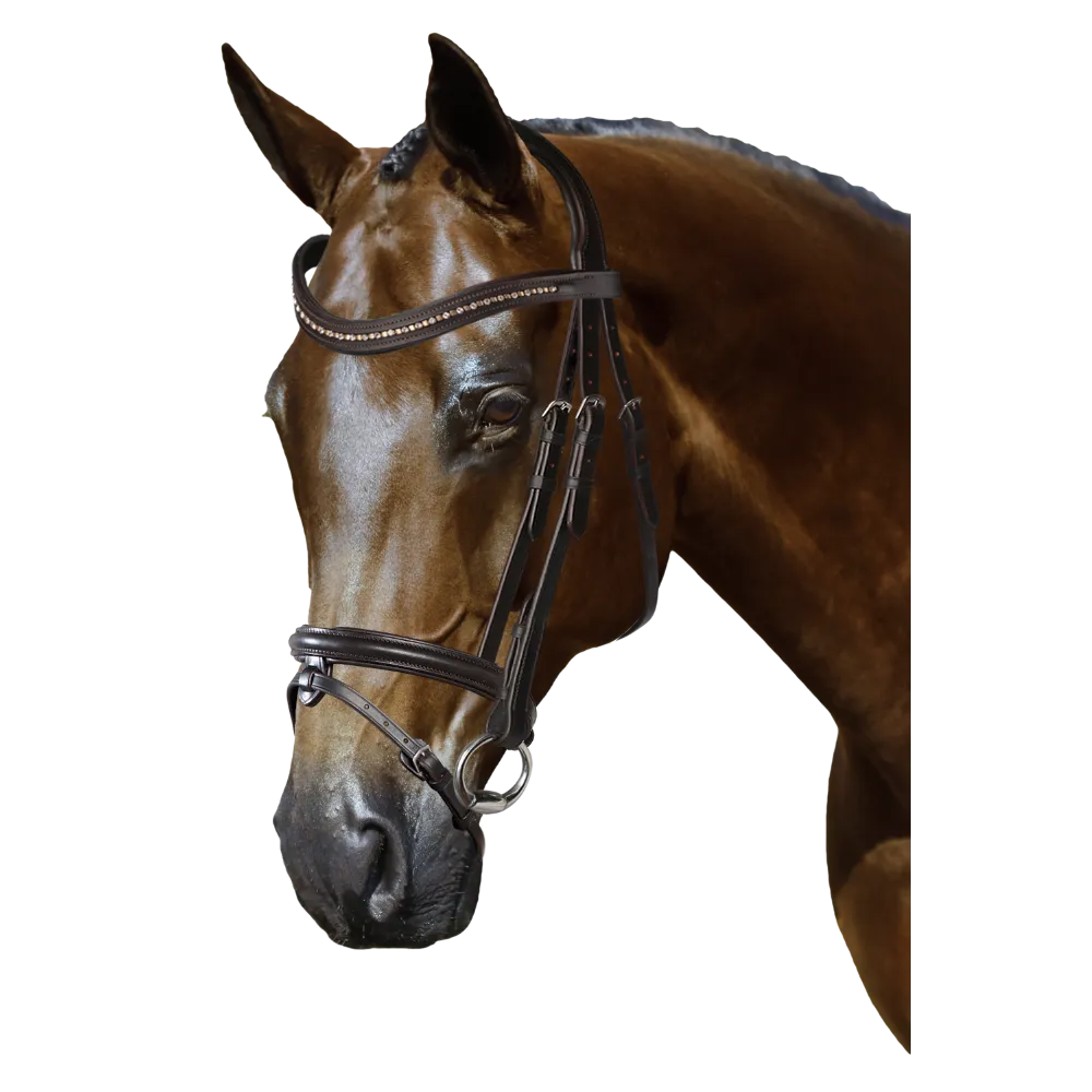 Mix & Match Custom Bridle - Havana Snaffle Bridle - Customer's Product with price 309.75 ID ZrgeKZRSKWJ6_xLF0fkjKjeU