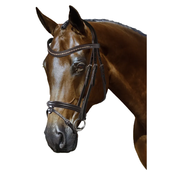 Mix & Match Custom Bridle - Havana Snaffle Bridle - Customer's Product with price 309.75 ID ZrgeKZRSKWJ6_xLF0fkjKjeU