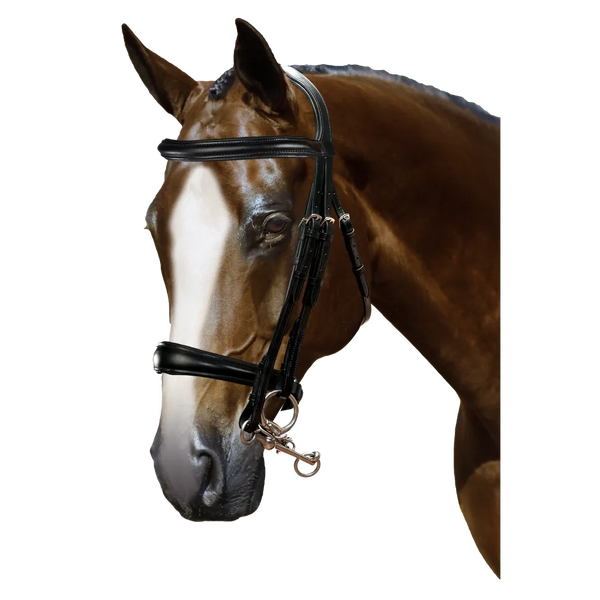 Mix & Match Custom Bridle - Black Double Bridle - Customer's Product with price 319.70 ID fLZVKJeIlNANPsbSg_Xj08ti