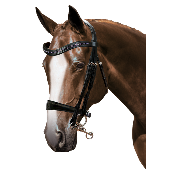 Mix & Match Custom Bridle - Black Double Bridle - Customer's Product with price 389.70 ID ag_KvSfhBEhRX7VTcJxRUp3C