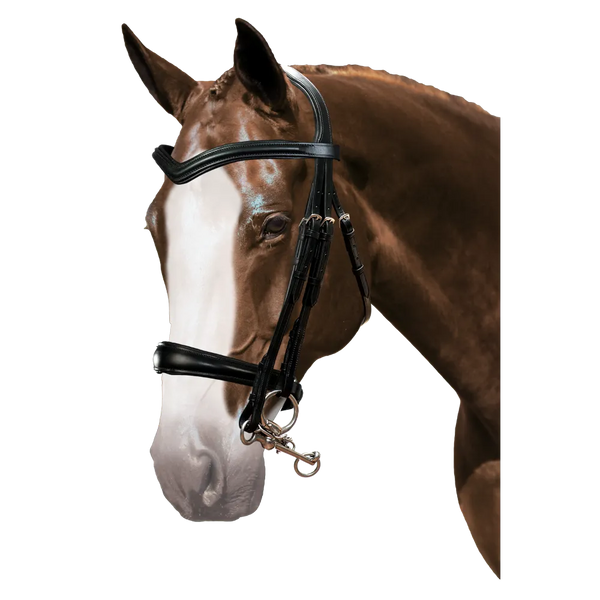 Mix & Match Custom Bridle - Black Double Bridle - Customer's Product with price 249.75 ID A45ev5fFJVG2Cz88BHL9NbD3