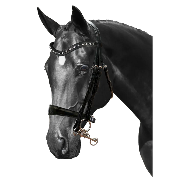 Mix & Match Custom Bridle - Black Double Bridle - Customer's Product with price 389.70 ID qMmGXDr4CKCEX5cYtP-YLecm