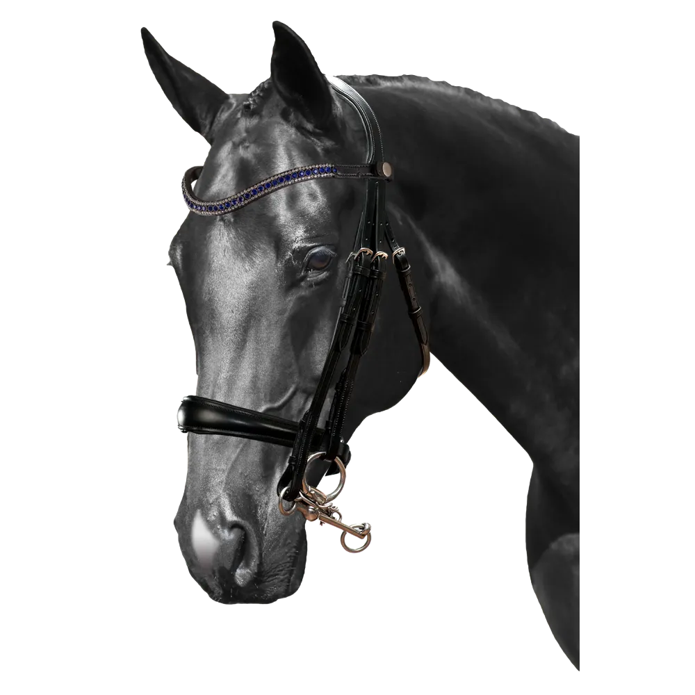 Mix & Match Custom Bridle - Black Double Bridle - Customer's Product with price 389.70 ID k59o7VLSjuaSMiEUR2_7jrup