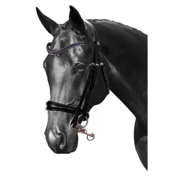 Mix & Match Custom Bridle - Black Double Bridle - Customer's Product with price 389.70 ID k59o7VLSjuaSMiEUR2_7jrup