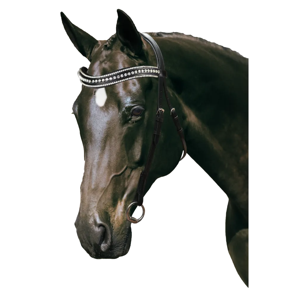 Mix & Match Custom Bridle - Black Nosebandless Bridle - Customer's Product with price 234.80 ID 2h3GpdWko8hKMD2YObq6dPaE