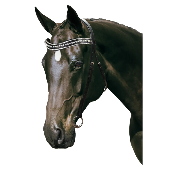 Mix & Match Custom Bridle - Black Nosebandless Bridle - Customer's Product with price 234.80 ID 2h3GpdWko8hKMD2YObq6dPaE