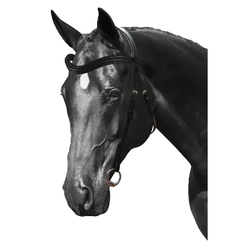 Mix & Match Custom Bridle - Black Nosebandless Bridle - Customer's Product with price 194.80 ID 4Qkpa63jaM_VFpsI5ngW0rwF