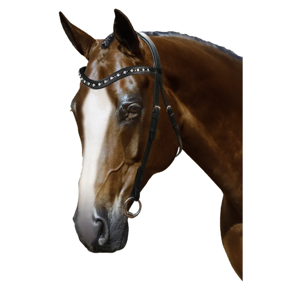 Mix & Match Custom Bridle - Black Nosebandless Bridle - Customer's Product with price 234.80 ID NRP-1PA6m8rTMfKTDO2MDrz0