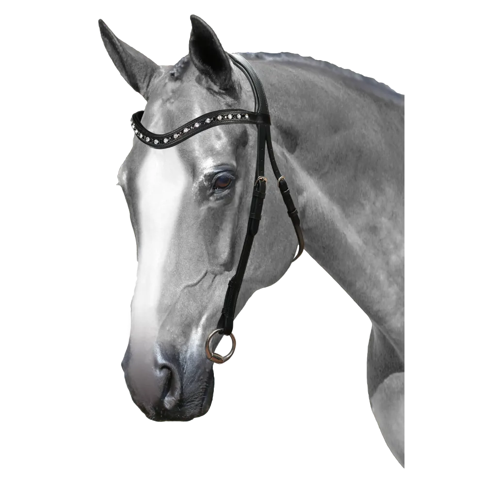 Mix & Match Custom Bridle - Black Nosebandless Bridle - Customer's Product with price 164.85 ID wSdOlfhQmygK-c4pdGN6ume5