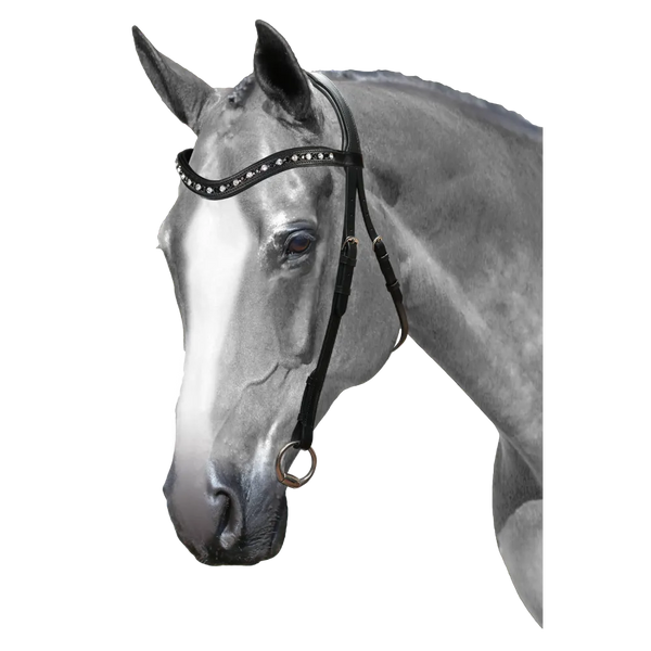 Mix & Match Custom Bridle - Black Nosebandless Bridle - Customer's Product with price 164.85 ID wSdOlfhQmygK-c4pdGN6ume5