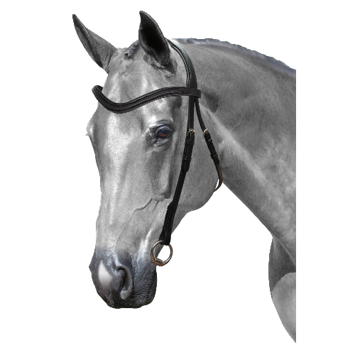 Mix & Match Custom Bridle - Black Nosebandless Bridle - Customer's Product with price 124.85 ID 3OpQn694DhSEX8VAK_9Sp3oK