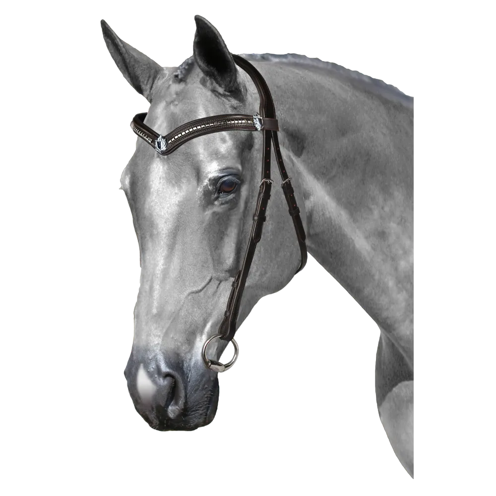 Mix & Match Custom Bridle - Havana Nosebandless Bridle - Customer's Product with price 224.80 ID zlXzRSagRsRnjCXi6eooP2fj