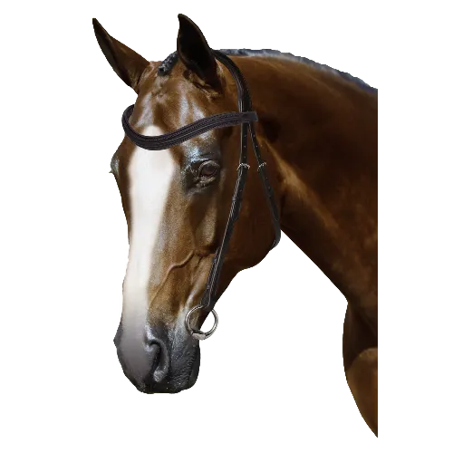 Mix & Match Custom Bridle - Havana Nosebandless Bridle - Customer's Product with price 194.80 ID Ot3s7ndUdQvi1_4APOeZyfva