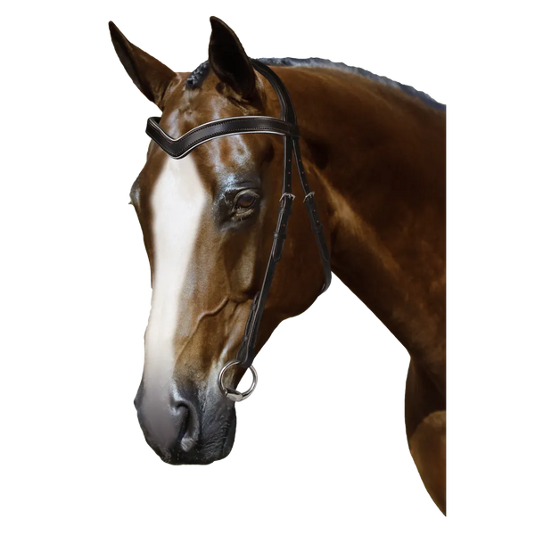 Mix & Match Custom Bridle - Havana Nosebandless Bridle - Customer's Product with price 194.80 ID 5RtnqW3WJecnKXcaJjWIzNq3