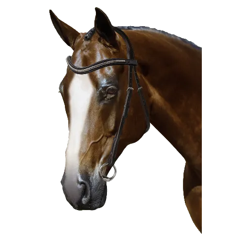 Mix & Match Custom Bridle - Havana Nosebandless Bridle - Customer's Product with price 224.80 ID X96MnjqKGRAfwPeXYzl1ZTXa